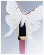 37.2 Paris - Tom_Ford_AD copy.jpg