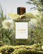 37.2 Paris - byf_hawthorn_bloo_24_cps_rgb_01_4x5.jpg