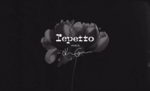 37.2 Paris - Repetto 