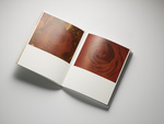 37.2 Paris - 2025_11_14 LIVRE POLAROIDS INES_152.jpg