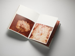 37.2 Paris - 2025_11_14 LIVRE POLAROIDS INES_154.jpg