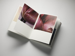 37.2 Paris - 2025_11_14 LIVRE POLAROIDS INES_166.jpg