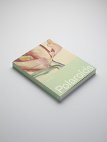 37.2 Paris - ines dieleman polaroids 37.2 .jpg