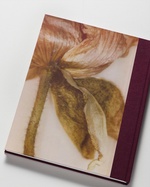 37.2 Paris - 135A2058-AC6C-40E0-8C1E-062728F78368.JPG