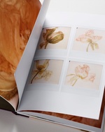 37.2 Paris - E7007538-B1B8-4C16-9F45-1E185CEFAB47.JPG