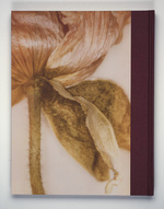 37.2 Paris - INES DIELEMAN PAVOT (livre rouge)_017.jpg