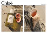 37.2 Paris - CHLOE_LAYOUT_DP_KV_PLAGEDUFIGUIER.jpg