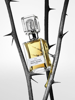 37.2 Paris - 092AEBBF-D77F-4B14-B1A0-E5151B4941E5.JPG