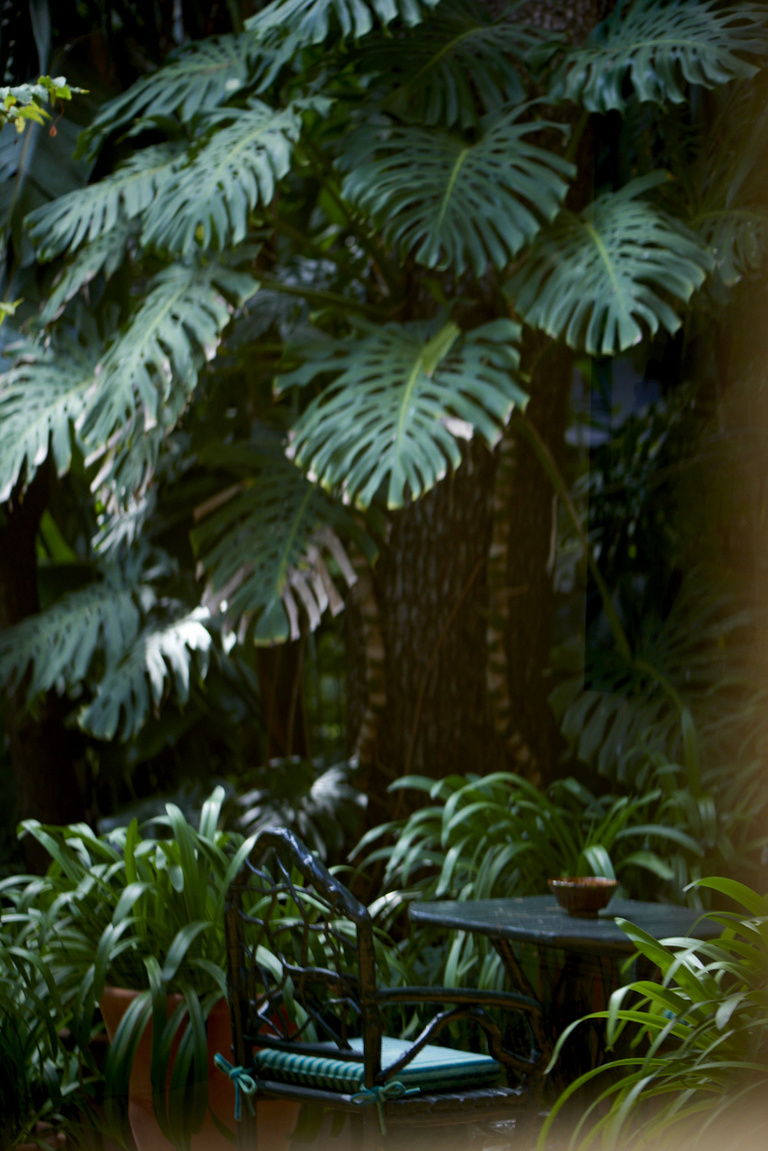 37.2 Paris - _ABA5488.jpg