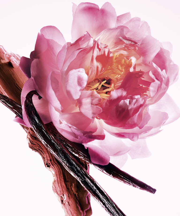 37.2 Paris - F249 MD REVAMP EDP 26 P04D COMPO INGREDIENTS V03_RVB.jpg