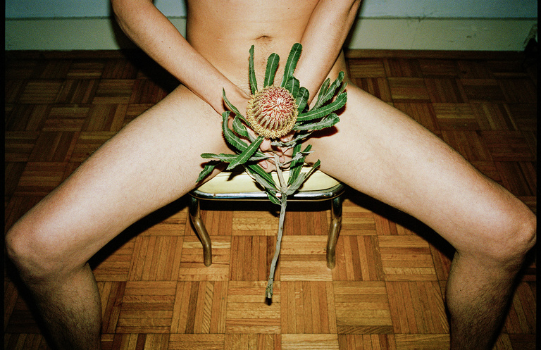 37.2 Paris - 79_SHELBYDUNCAN_HOL_Prickly Pair (2:2)_2013_FULLFRAME.jpg
