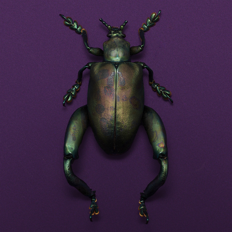 37.2 Paris - 260918_EDITO-FLEURS_120_INSECTE_1442_v1 base +1ev f9_H9.jpg