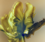 37.2 Paris - 2026_04_02 FLEURS INES_633_H18.jpg