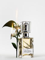 37.2 Paris - 03_BLAZE_OF_STILLNESS_03.jpg