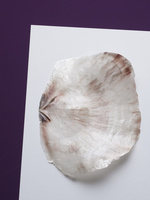 37.2 Paris - COQUILLAGES_084.jpg