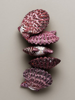37.2 Paris - COQUILLAGES_042.jpg