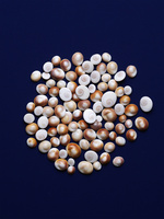 37.2 Paris - COQUILLAGES_045_2.jpg