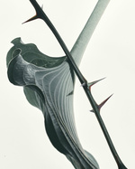 37.2 Paris - EF6117B2-AA0F-4D08-BBDF-879742D11674.JPG