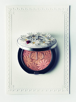 37.2 Paris - SM_260513_AMICA_010_DIOR_CUSHION_0150_base + reflo f33_H33.jpeg