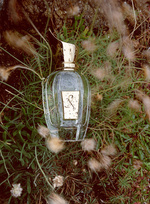 37.2 Paris - 260608_AMICA-BRETAGNE-PARFUM_05_X_SHOOTING-STARS-UDEN_1.jpg