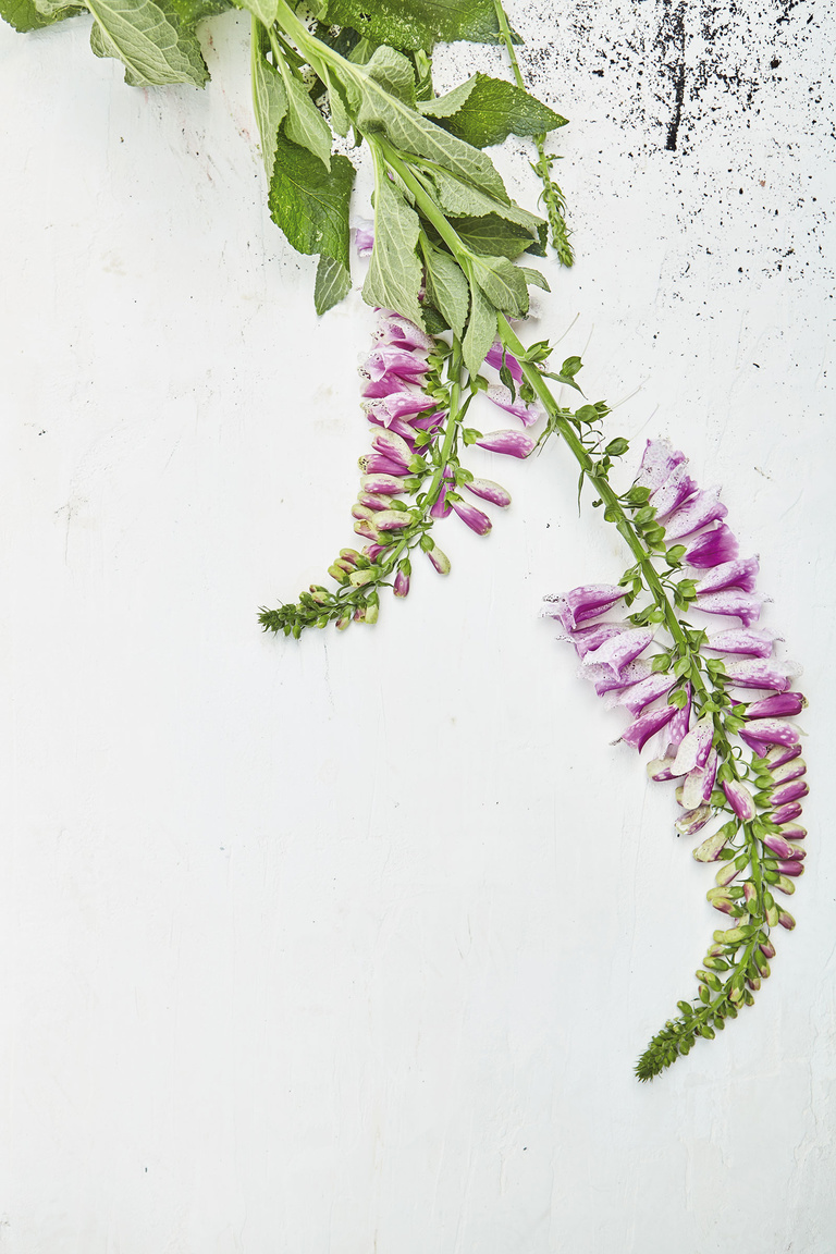 37.2 Paris - 3598.jpg