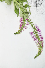 37.2 Paris - 3598.jpg