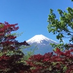 37.2 Paris - Inside Japan 