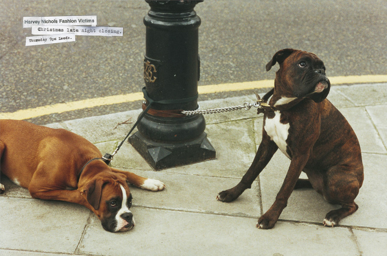 37.2 Paris - HN.Xmas-Dogs.jpg