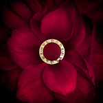 37.2 Paris - BOURGEON-3bis.jpg