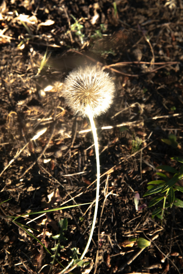 37.2 Paris - 1V0A6930.jpg