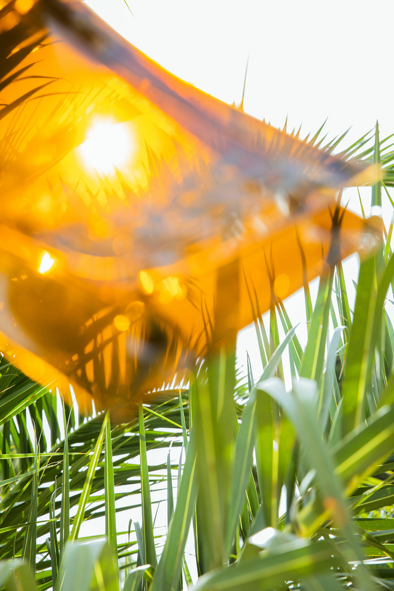 37.2 Paris - 23062021-1V0A7586.jpg