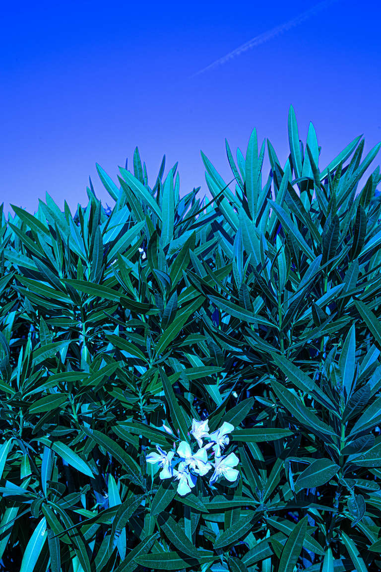 37.2 Paris - 23062021-1V0A7943.jpg