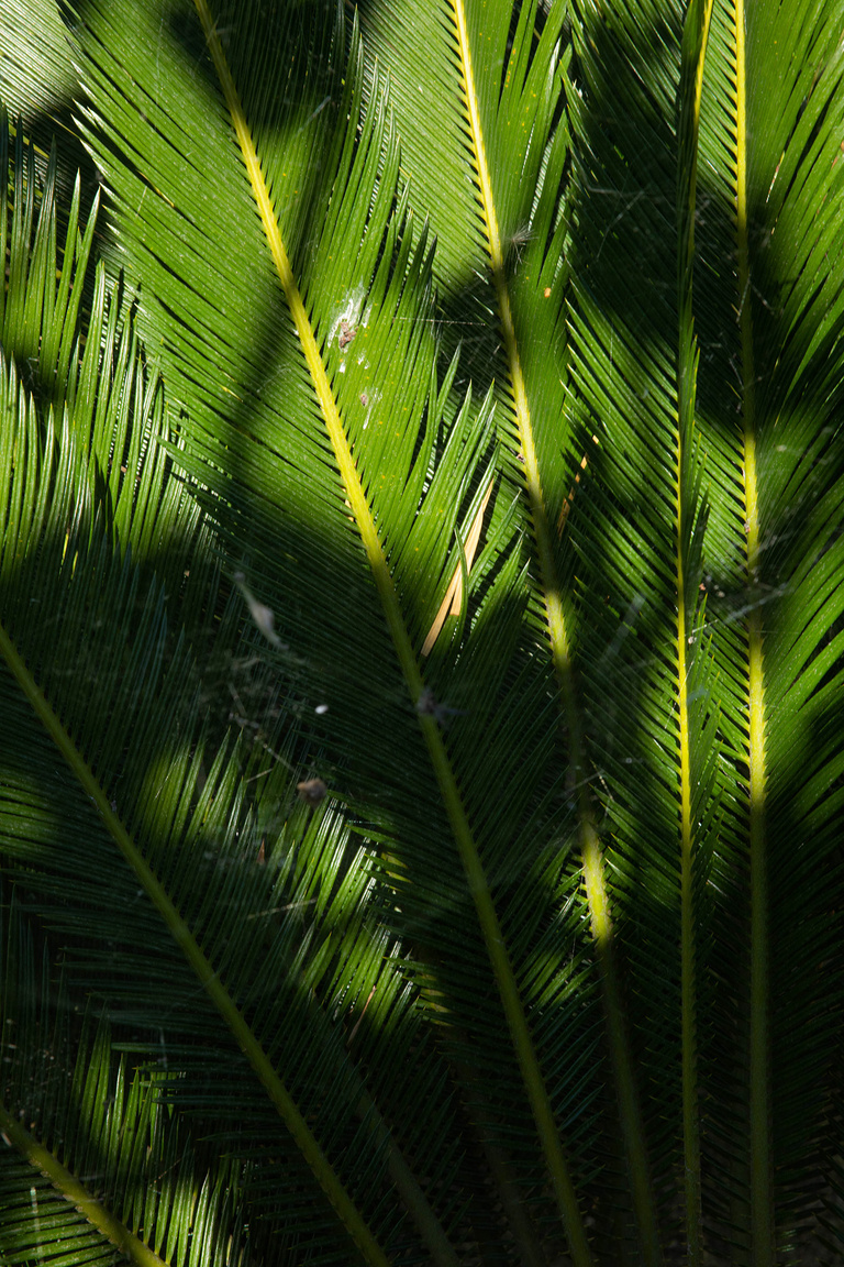 37.2 Paris - 25062021-1V0A8155.jpg