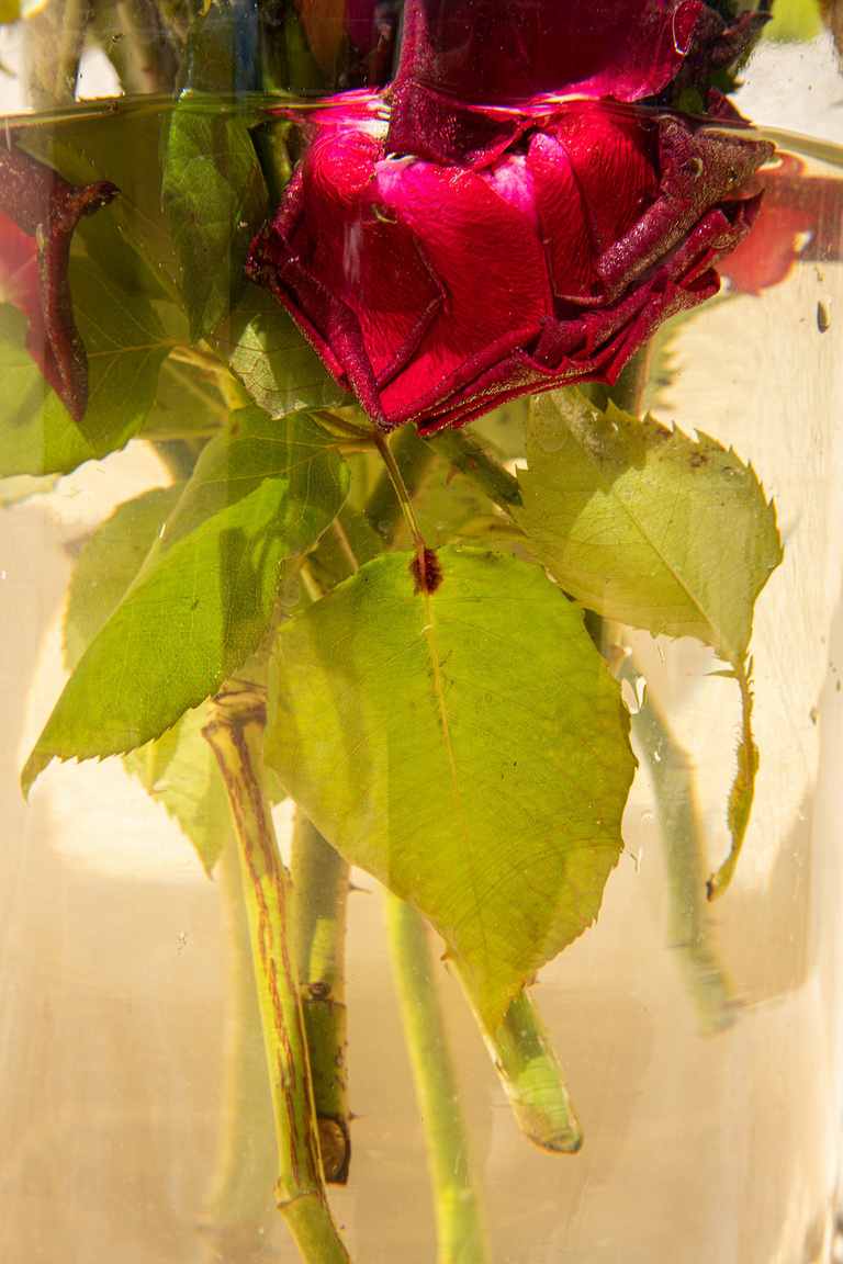 37.2 Paris - 25062021-1V0A8341.jpg