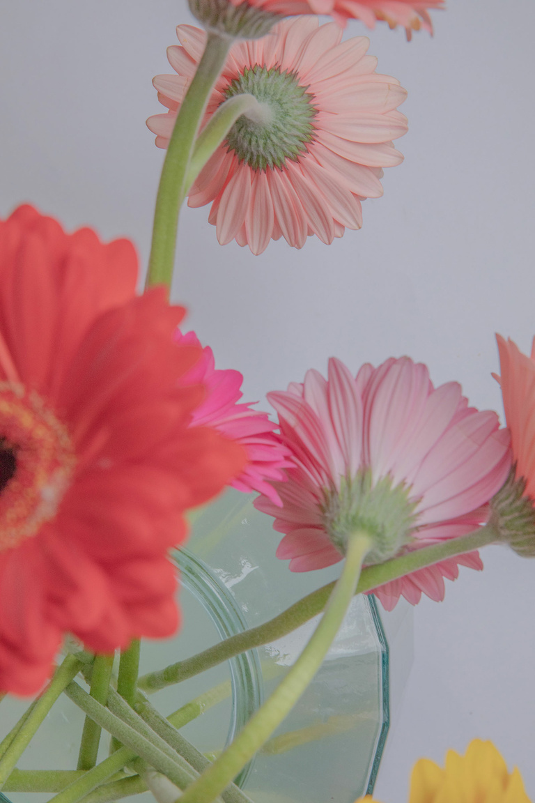 37.2 Paris - 29062021-1V0A8858.jpg