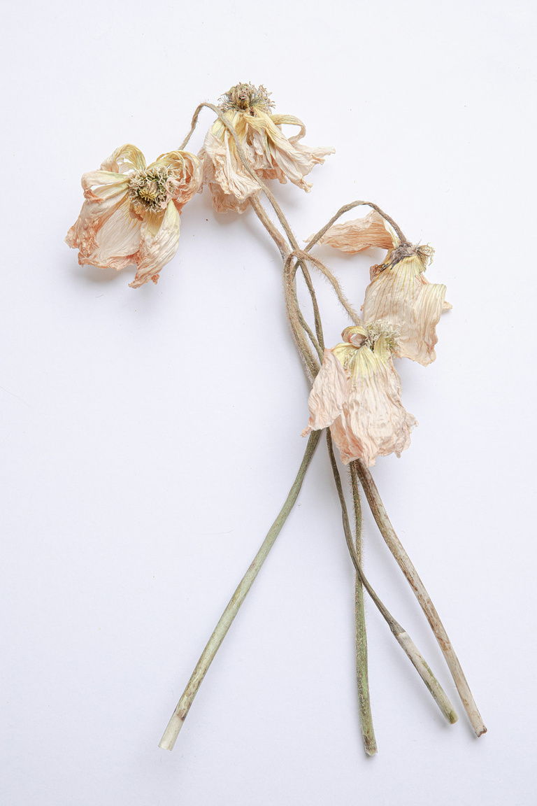 37.2 Paris - 29062021-1V0A8900.jpg