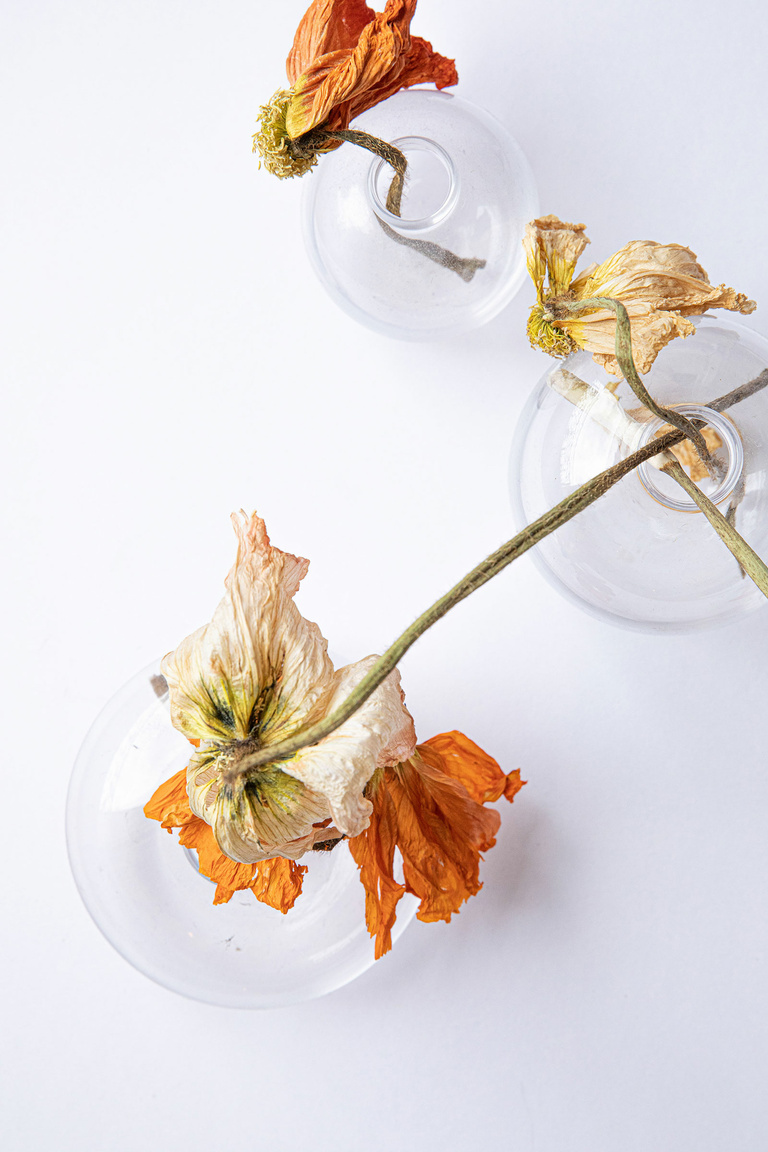 37.2 Paris - 29062021-1V0A8802.jpg