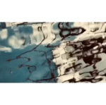 37.2 Paris - Nature 2