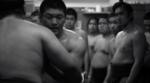37.2 Paris - M le Monde Sumo
