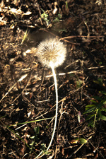 37.2 Paris - 1V0A6930.jpg