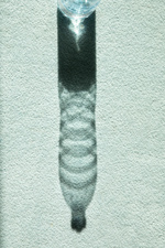 37.2 Paris - 1V0A7020.jpg