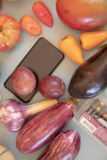 37.2 Paris - 1V0A7469.jpg