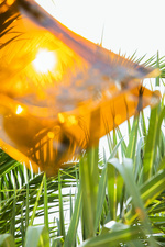 37.2 Paris - 23062021-1V0A7586.jpg