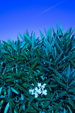 37.2 Paris - 23062021-1V0A7943.jpg