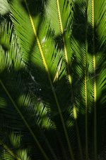 37.2 Paris - 25062021-1V0A8155.jpg