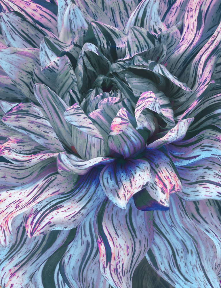 37.2 Paris - PRADA FLEUR.jpg