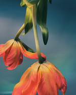 37.2 Paris - 523172AB-8398-4A18-B954-0145ECBAC961.JPG