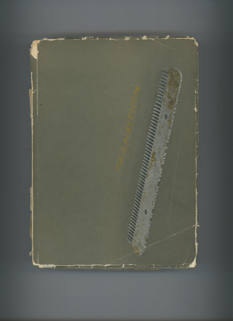 37.2 Paris - TRANSITION.png