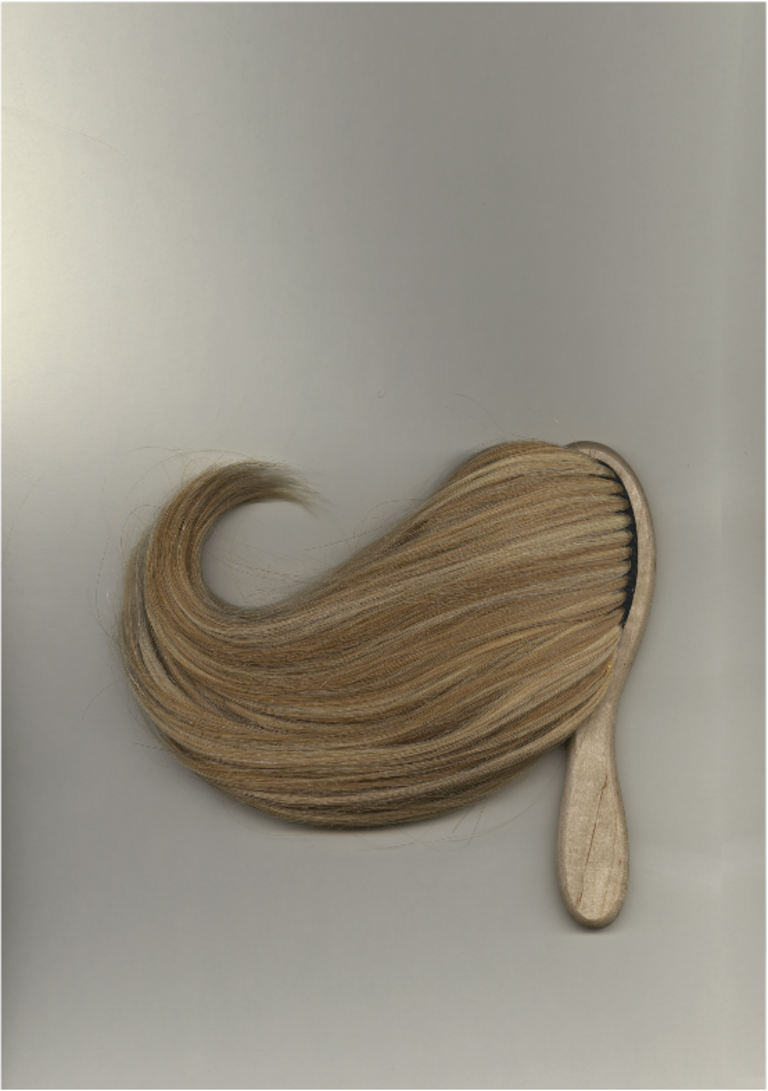 37.2 Paris - BLONDE HAIR BRUSH .png