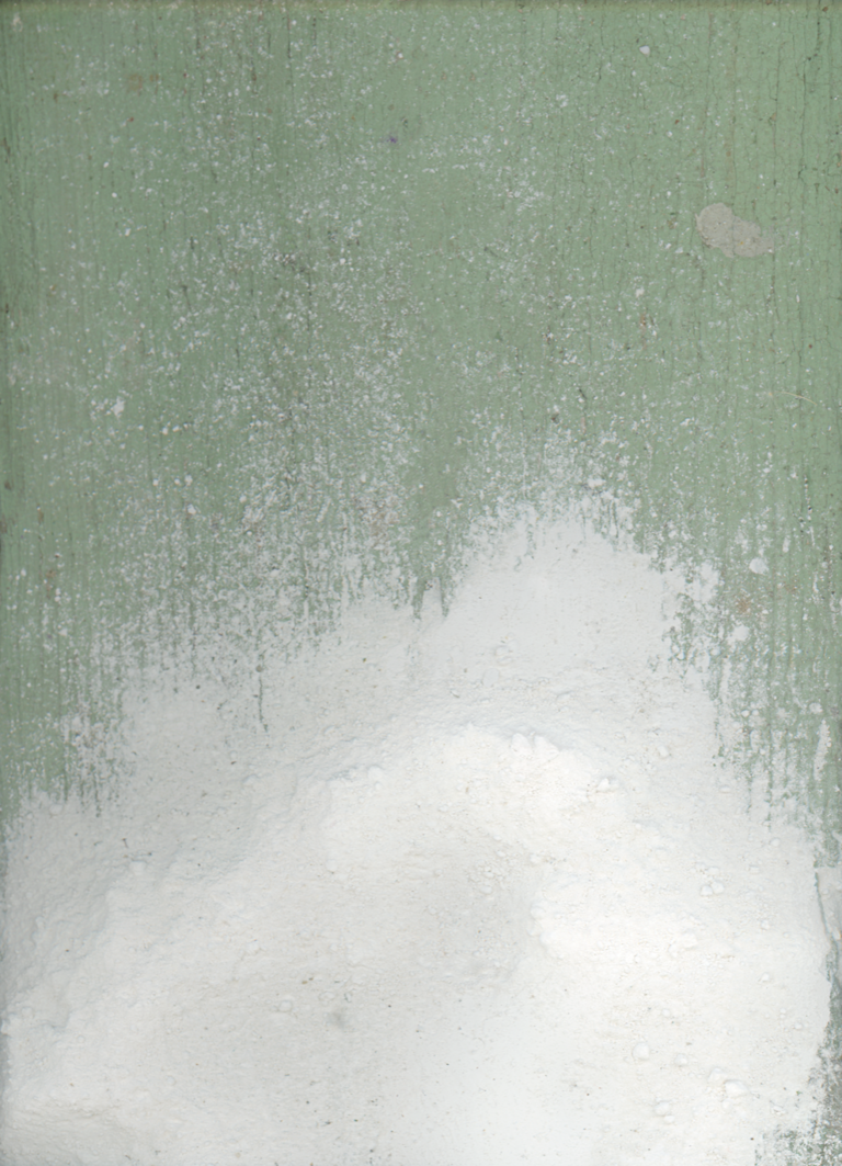 37.2 Paris - FALLEN WHITE PIGMENT.png